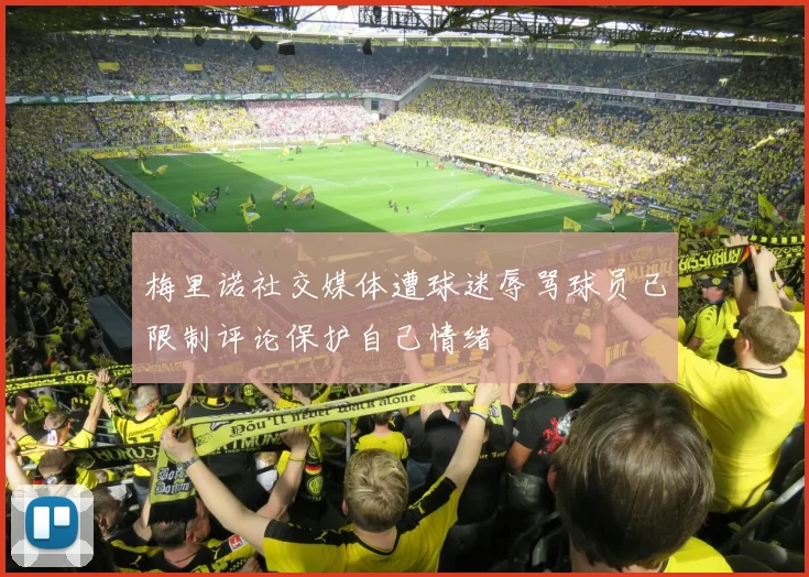 梅里诺社交媒体遭球迷辱骂球员已限制评论保护自己情绪
