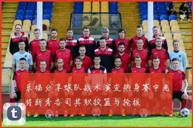 乐福分享球队战术演变热身赛中老将新秀各司其职投篮与抢板